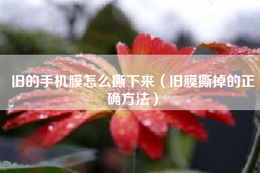 旧的手机膜怎么撕下来(旧膜撕掉的正确方法)