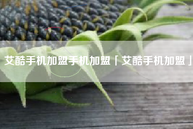 艾酷手机加盟手机加盟「艾酷手机加盟」